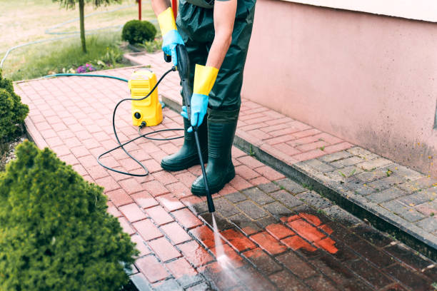 Professional Pressure Washing Services in Cypress Gardens, FL